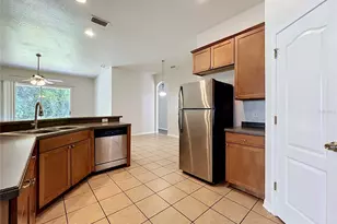 16318 Bridgelawn Ave, Lithia, FL 33547 - Photo 4