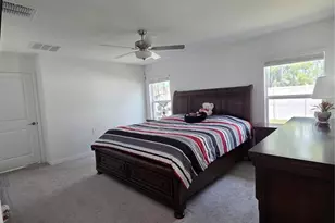 253 Rain Lily Ave, Spring Hill, FL 34609 - Photo 12