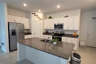 253 Rain Lily Ave, Spring Hill, FL 34609 - Photo 4
