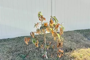 9435 Sanders Pk Pl, Seffner, FL 33584 - Photo 34