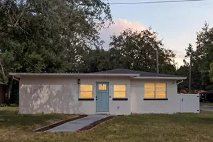 3020 E Idlewild Ave, Tampa, FL 33610 - Photo 1
