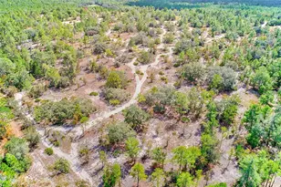 4 Poppy Ct, Homosassa, FL 34446 - Photo 18