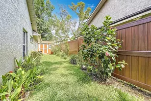 2973 Spring Oak Ct, Palm Harbor, FL 34684 - Photo 62