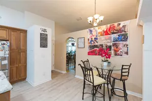 10022 Oxford Chapel Dr, Tampa, FL 33647 - Photo 14