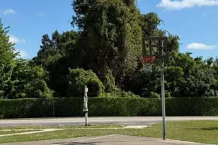 22710 Watersedge Blvd, Land O Lakes, FL 34639 - Photo 28