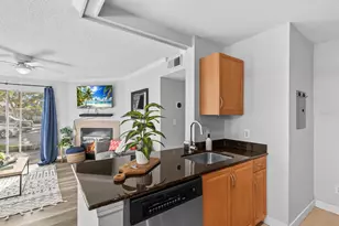 3321 Haviland Ct, Palm Harbor, FL 34684 - Photo 14