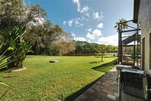 2151 Diamond Ct, Oldsmar, FL 34677 - Photo 60