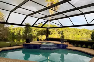 2151 Diamond Ct, Oldsmar, FL 34677 - Photo 58