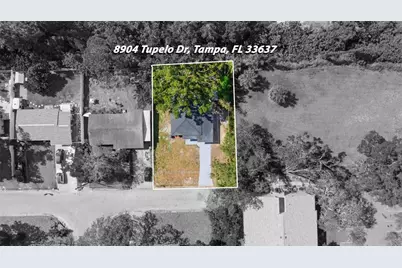 8904 Tupelo Drive, Tampa, FL 33637 - Photo 30