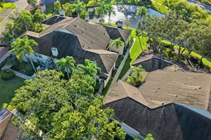 3350 Mermoor Dr, Palm Harbor, FL 34685 - Photo 52