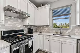19437 Ship Wheel Wy, Land O Lakes, FL 34638 - Photo 24