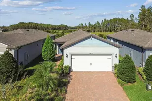 19437 Ship Wheel Wy, Land O Lakes, FL 34638 - Photo 58