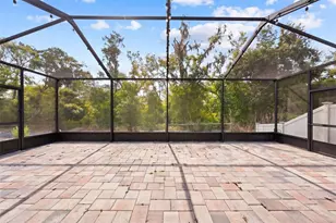 14256 Blue Dasher Dr, Riverview, FL 33569 - Photo 84