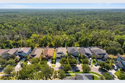 14256 Blue Dasher Drive, Riverview, FL 33569 - Photo 88