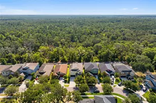14256 Blue Dasher Dr, Riverview, FL 33569 - Photo 88