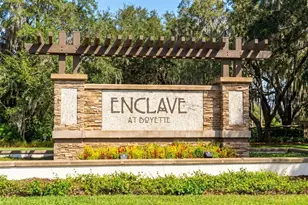14256 Blue Dasher Dr, Riverview, FL 33569 - Photo 2