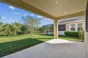 33181 Shadow Branch Ln, Wesley Chapel, FL 33545 - Photo 46