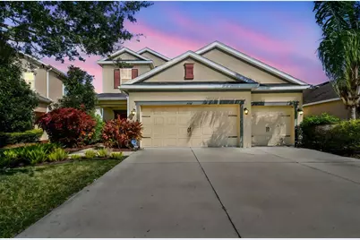 33181 Shadow Branch Lane, Wesley Chapel, FL 33545 - Photo 1