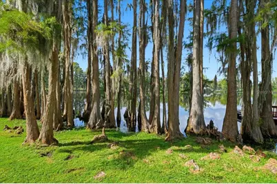 302 Lake Kell Court, Lutz, FL 33549 - Photo 58