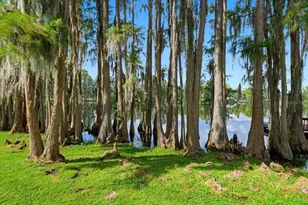 302 Lake Kell Ct, Lutz, FL 33549 - Photo 58