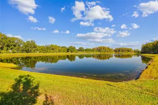 2213 Cerulean Sky Dr, Lutz, FL 33558 - Photo 52