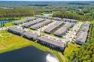 2213 Cerulean Sky Dr, Lutz, FL 33558 - Photo 72