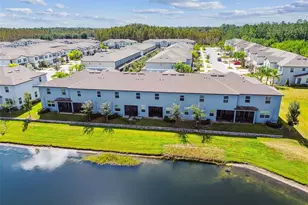 2213 Cerulean Sky Dr, Lutz, FL 33558 - Photo 74