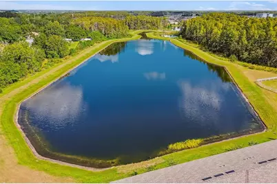 2213 Cerulean Sky Drive, Lutz, FL 33558 - Photo 58