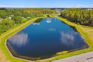 2213 Cerulean Sky Dr, Lutz, FL 33558 - Photo 58