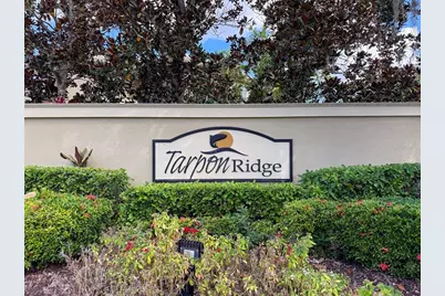 2539 Silverback Court, Palm Harbor, FL 34684 - Photo 38