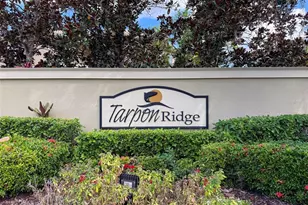 2539 Silverback Ct, Palm Harbor, FL 34684 - Photo 38