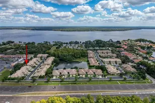 2539 Silverback Ct, Palm Harbor, FL 34684 - Photo 44