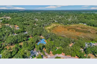 10618 Skewlee Gardens Drive, Thonotosassa, FL 33592 - Photo 60