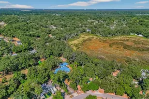 10618 Skewlee Gardens Dr, Thonotosassa, FL 33592 - Photo 60
