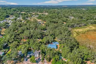 10618 Skewlee Gardens Dr, Thonotosassa, FL 33592 - Photo 58
