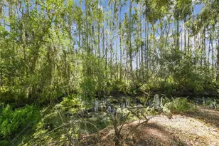 1627 Hammocks Ave, Lutz, FL 33549 - Photo 44