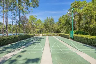 31225 Claridge Pl, Wesley Chapel, FL 33543 - Photo 34