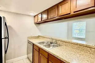 7156 E Bank Dr, Tampa, FL 33617 - Photo 10
