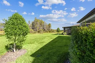 19437 Ship Wheel Wy, Land O Lakes, FL 34638 - Photo 52
