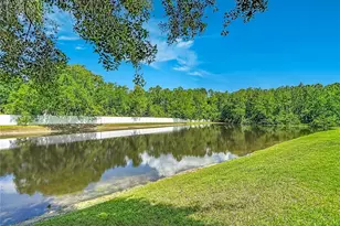 16224 Ivy Lake Dr, Odessa, FL 33556 - Photo 92
