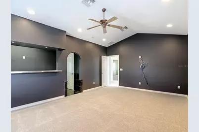 16224 Ivy Lake Drive, Odessa, FL 33556 - Photo 66