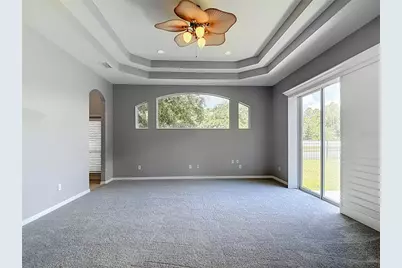 16224 Ivy Lake Drive, Odessa, FL 33556 - Photo 36
