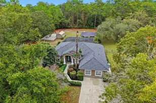 10335 N Dauphine Terrace, Dunnellon, FL 34433 - Photo 2