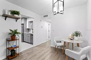 4335 Aegean Dr, Tampa, FL 33611 - Photo 16