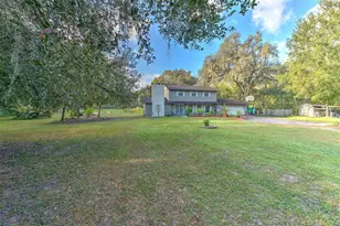 37902 Springdale Rd, Zephyrhills, FL 33540 - Photo 4