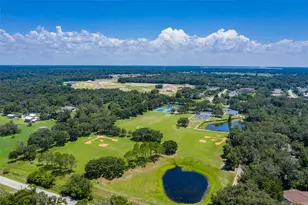 5803 Thoreau Pl, Lithia, FL 33547 - Photo 70