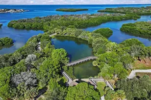 3307 Desoto Blvd, Palm Harbor, FL 34683 - Photo 46