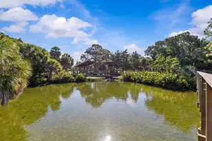 3307 Desoto Blvd, Palm Harbor, FL 34683 - Photo 42