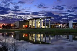 5067 Chapel Row Ave, Apollo Beach, FL 33572 - Photo 6