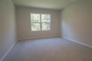 12016 Grizzly Ln, New Port Richey, FL 34654 - Photo 12